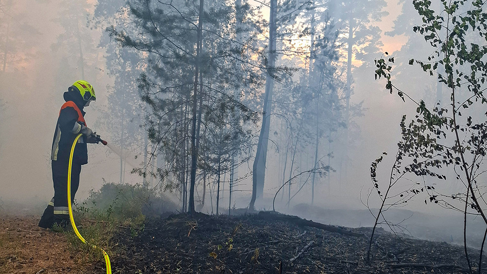 004 Waldbrand Holzhammer Kopie