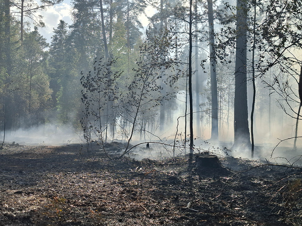 005 Waldbrand Holzhammer Kopie