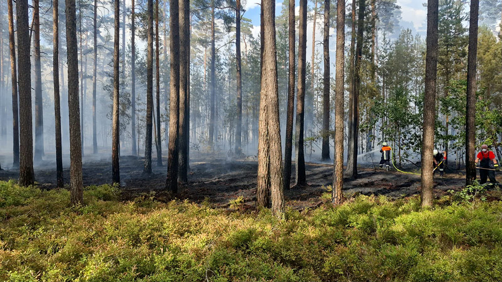 006 Waldbrand Holzhammer Kopie